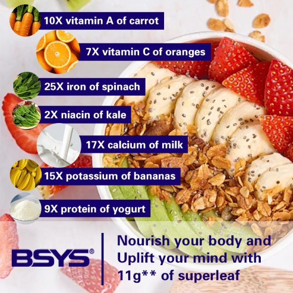 BSYS Moringa Capsules  Antioxidant & Anti-Inflammatory Support  Blood Sugar Health Aid  Cholesterol Balance Formula  Heart Wellness Support  Immune Boost & Natural Defense  Daily Superfood Suppl - Image 7
